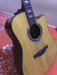 DOTCH MD-150 Acoustic Guitar